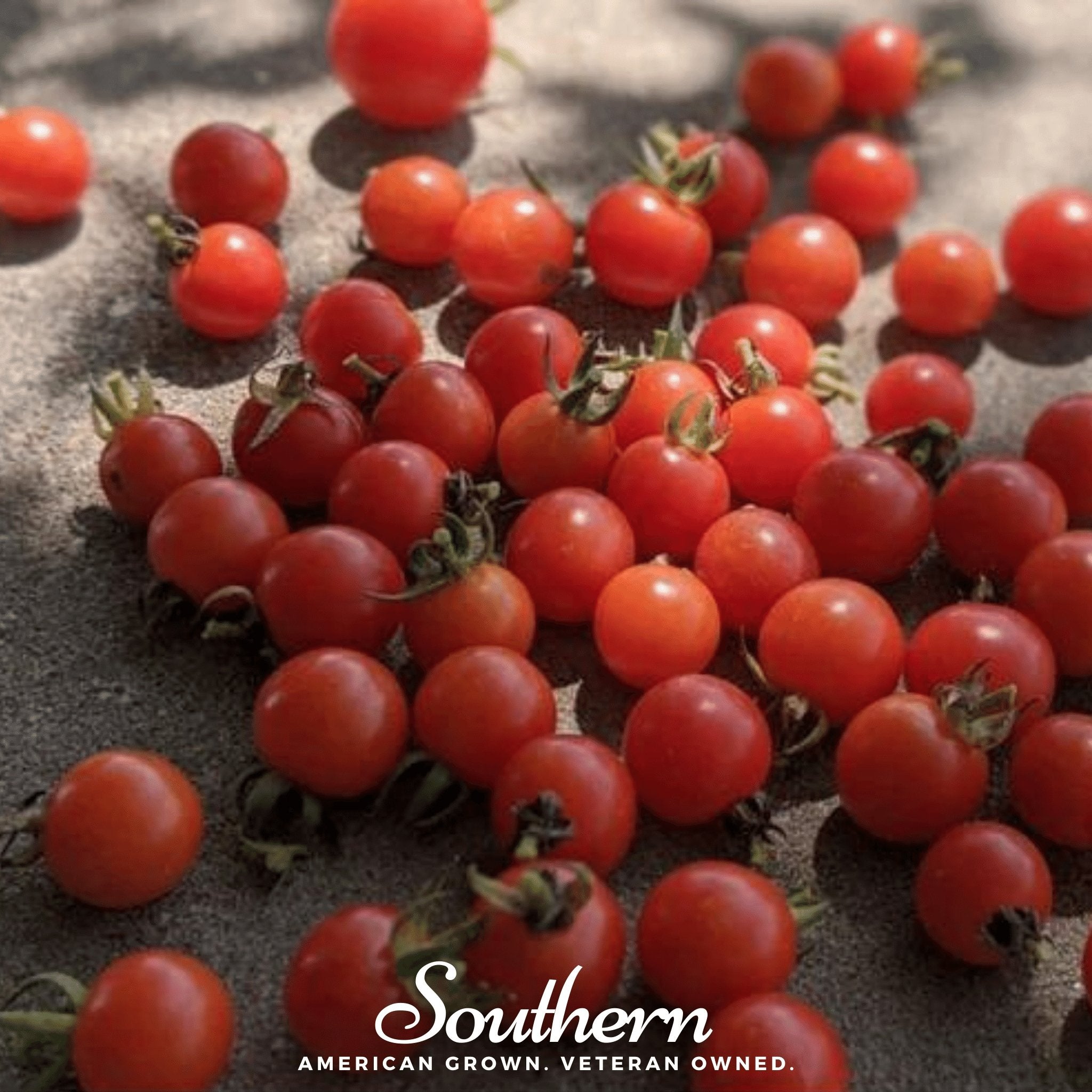 Sweetie Tomato – 50 Seeds Southern Seeds