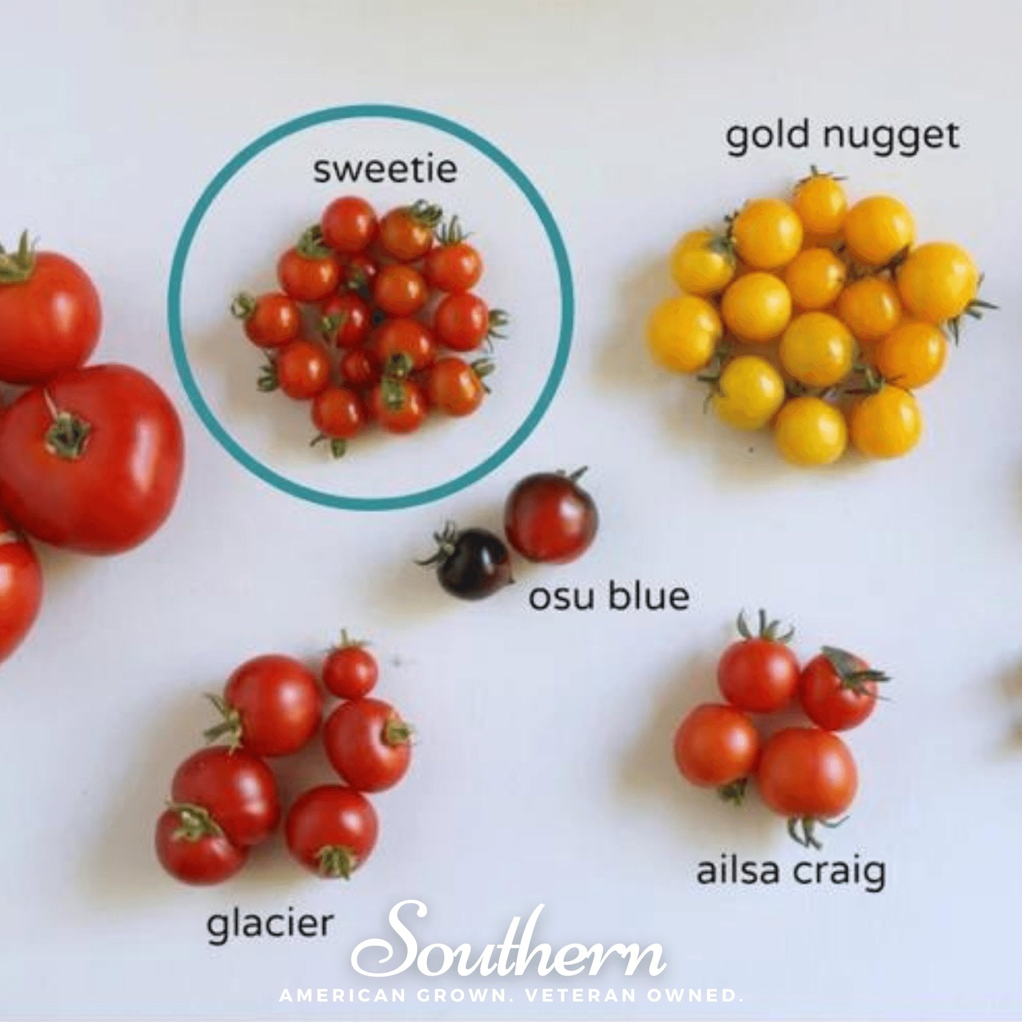 Sweetie Tomato – 50 Seeds Southern Seeds