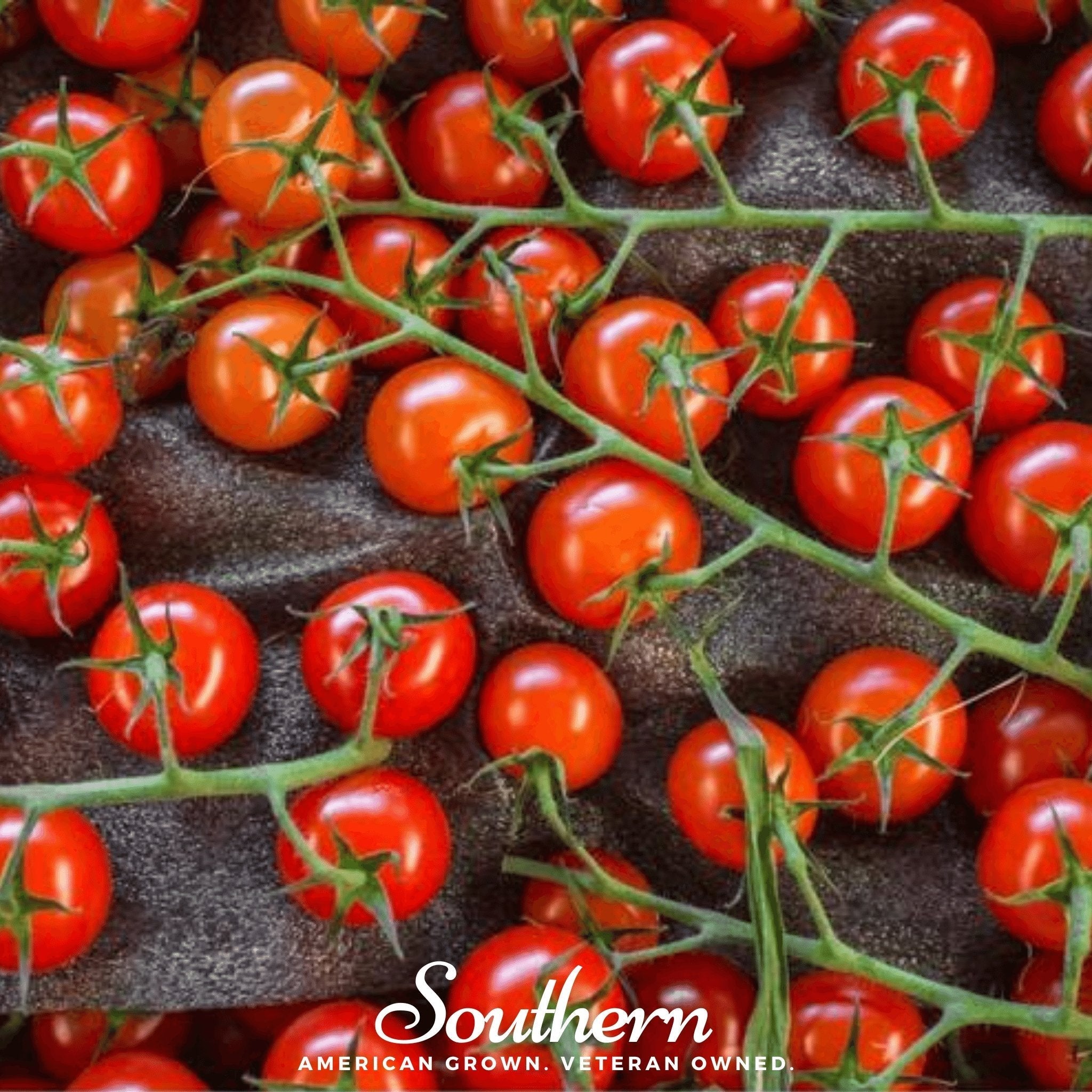 Sweetie Tomato – 50 Seeds Southern Seeds