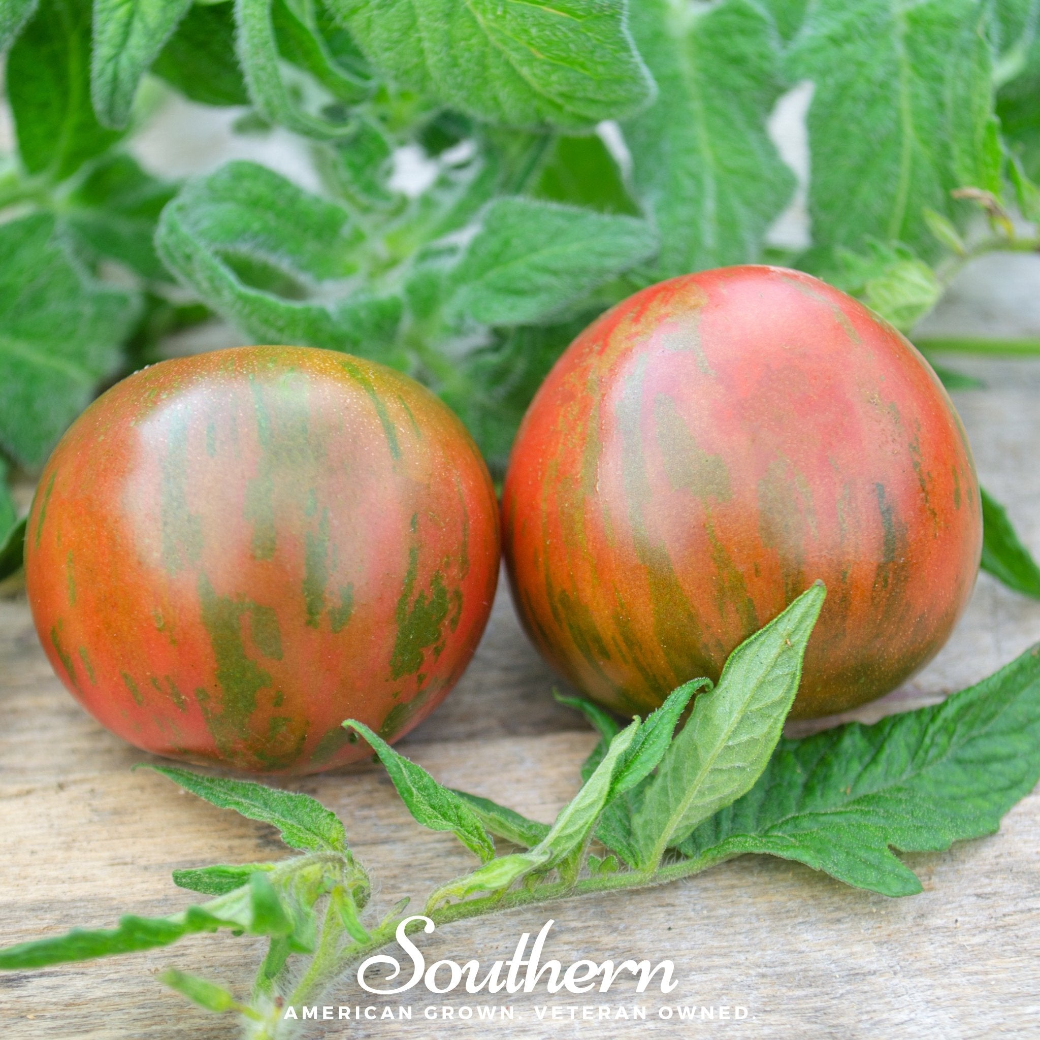 Tigerella Tomato – 50 Seeds Southern Seeds
