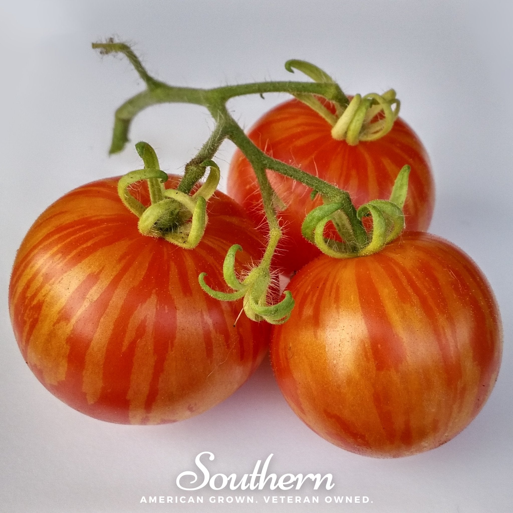 Tigerella Tomato – 50 Seeds Southern Seeds