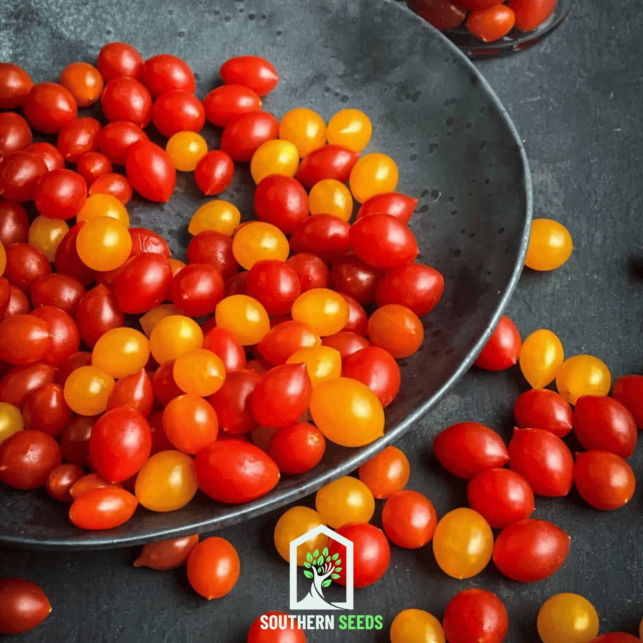 World's Smallest Tomato – Tomberry – 25 Seeds Southern Seeds