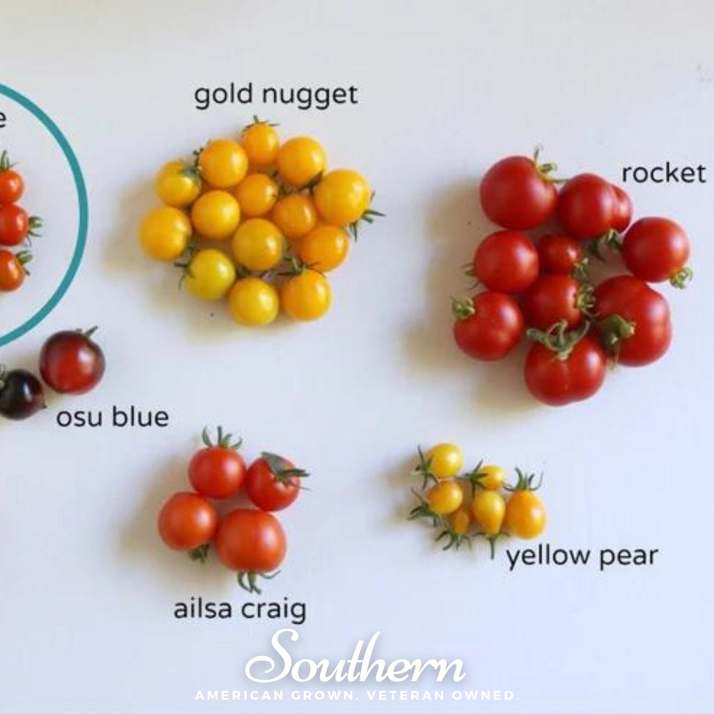 Yellow Pear Tomato – 50 Seeds Southern Seeds