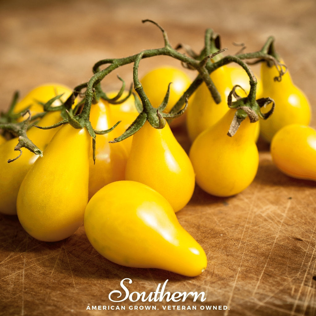 Yellow Pear Tomato – 50 Seeds Southern Seeds