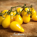 Yellow Pear Tomato – 50 Seeds Southern Seeds