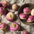 Purple Top White Globe Turnip – 250 Seeds Southern Seeds