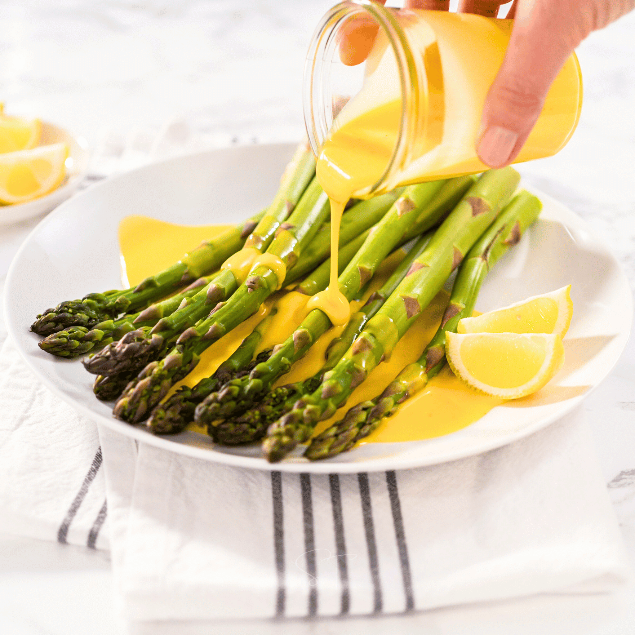 UC157 F2 Asparagus – 50 Seeds Southern Seeds