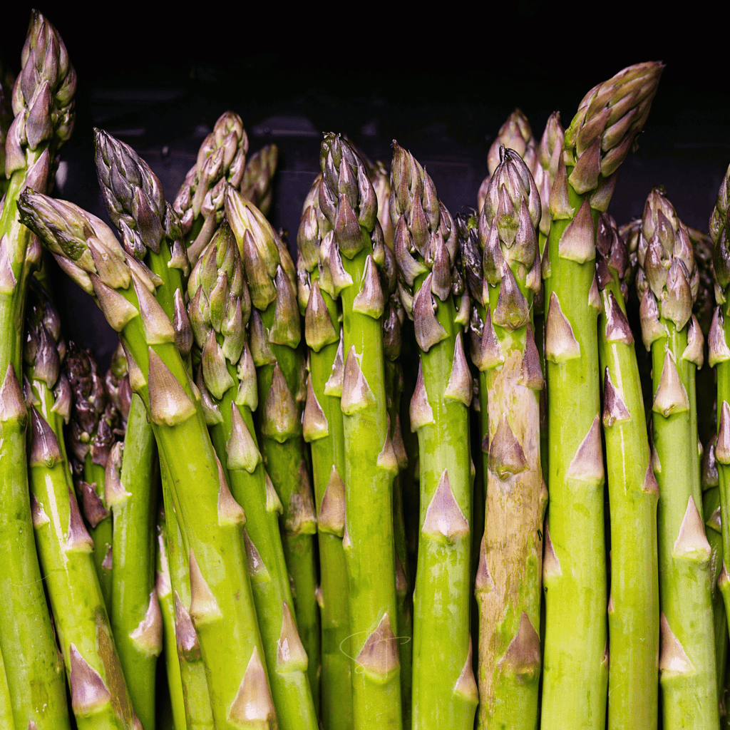 UC72 Asparagus – 50 Seeds Southern Seeds