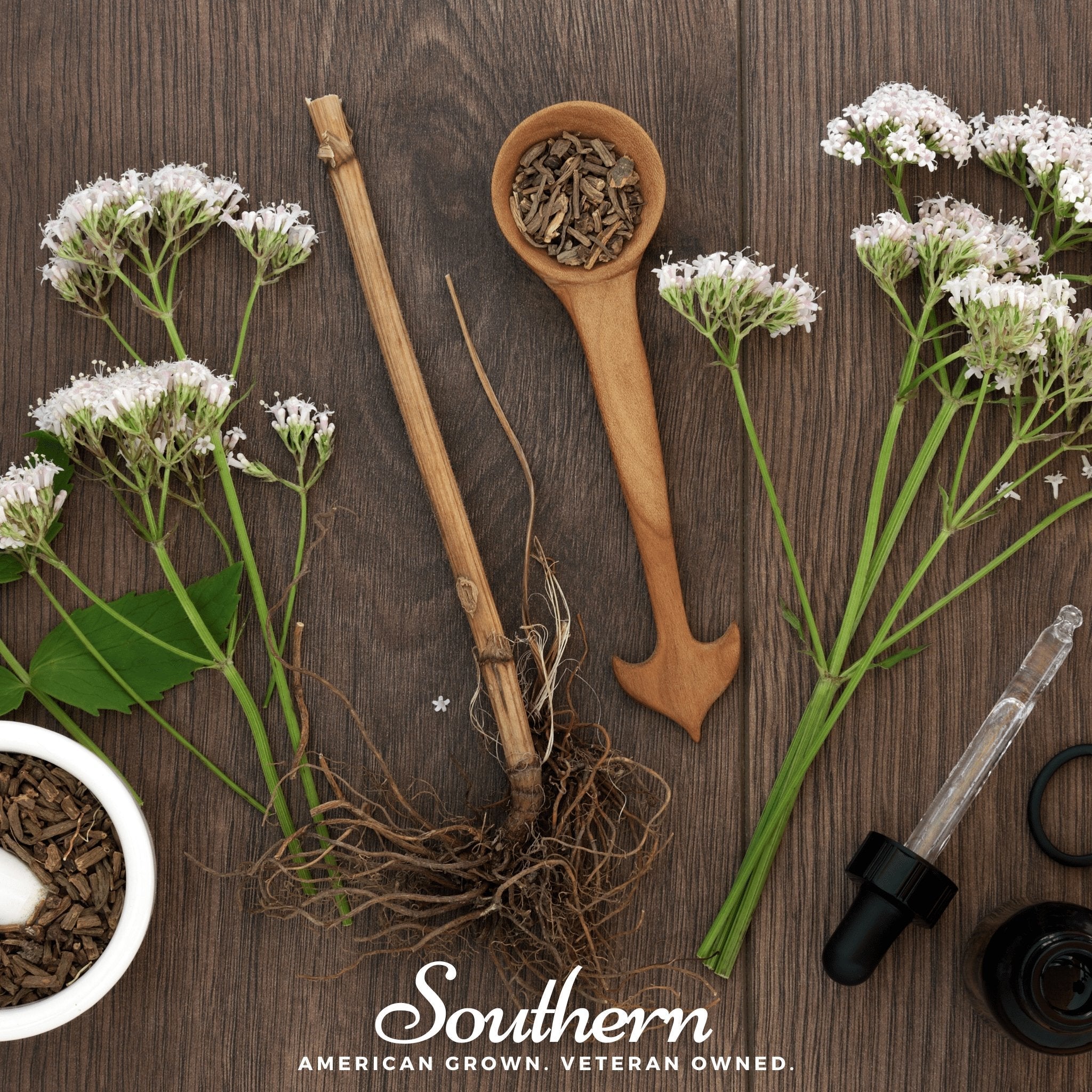 Valerian – 100 Seeds Southern Seeds