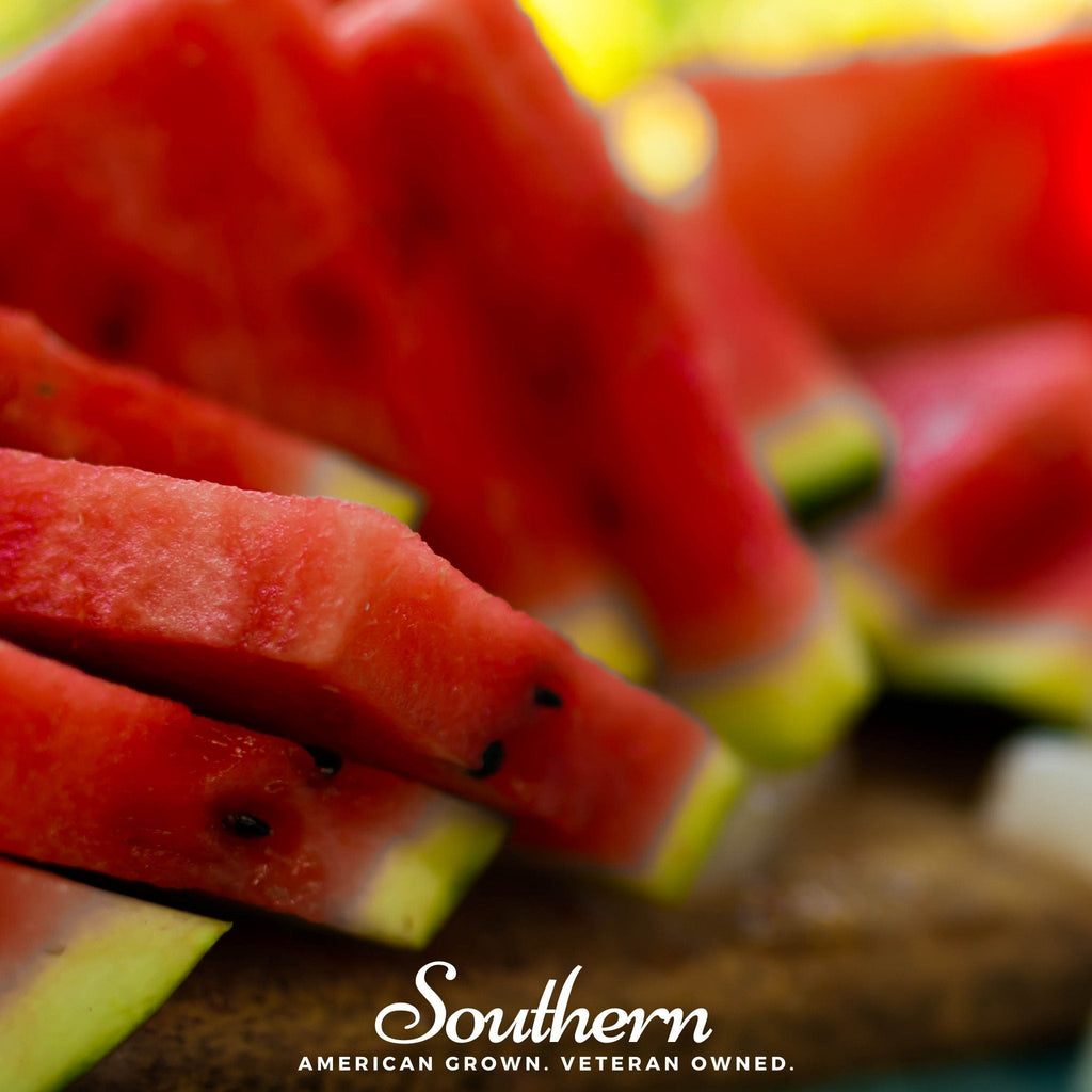 Crimson Sweet Watermelon – 25 Seeds Southern Seeds