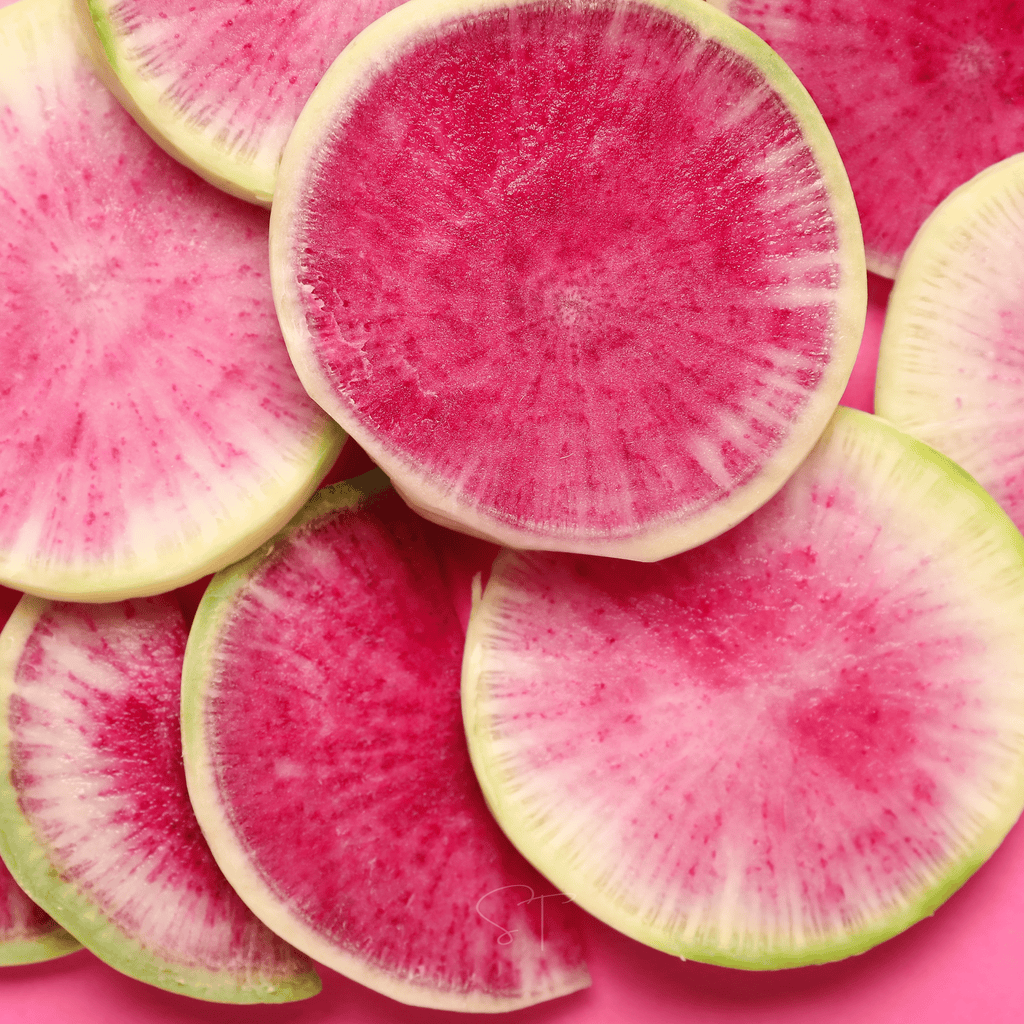 Watermelon Radish – 50 Seeds Southern Seeds