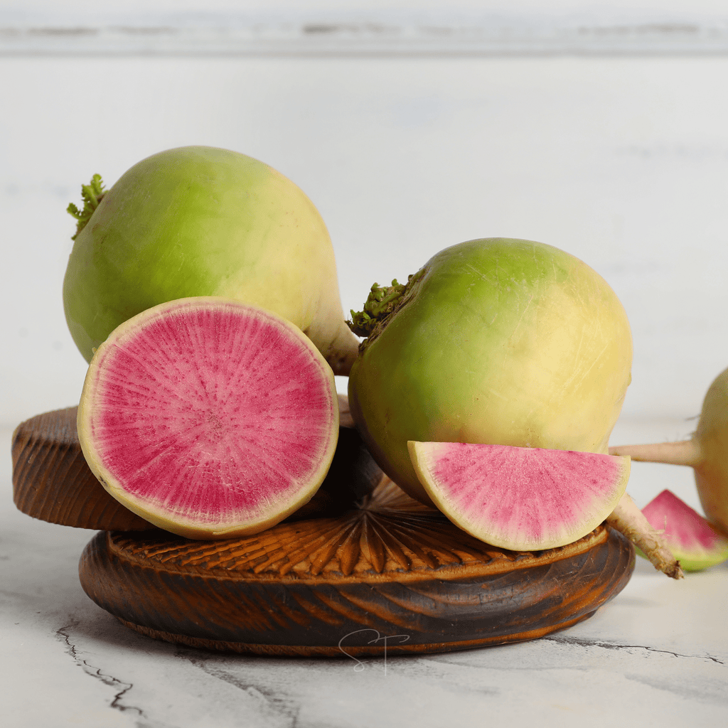 Watermelon Radish – 50 Seeds Southern Seeds