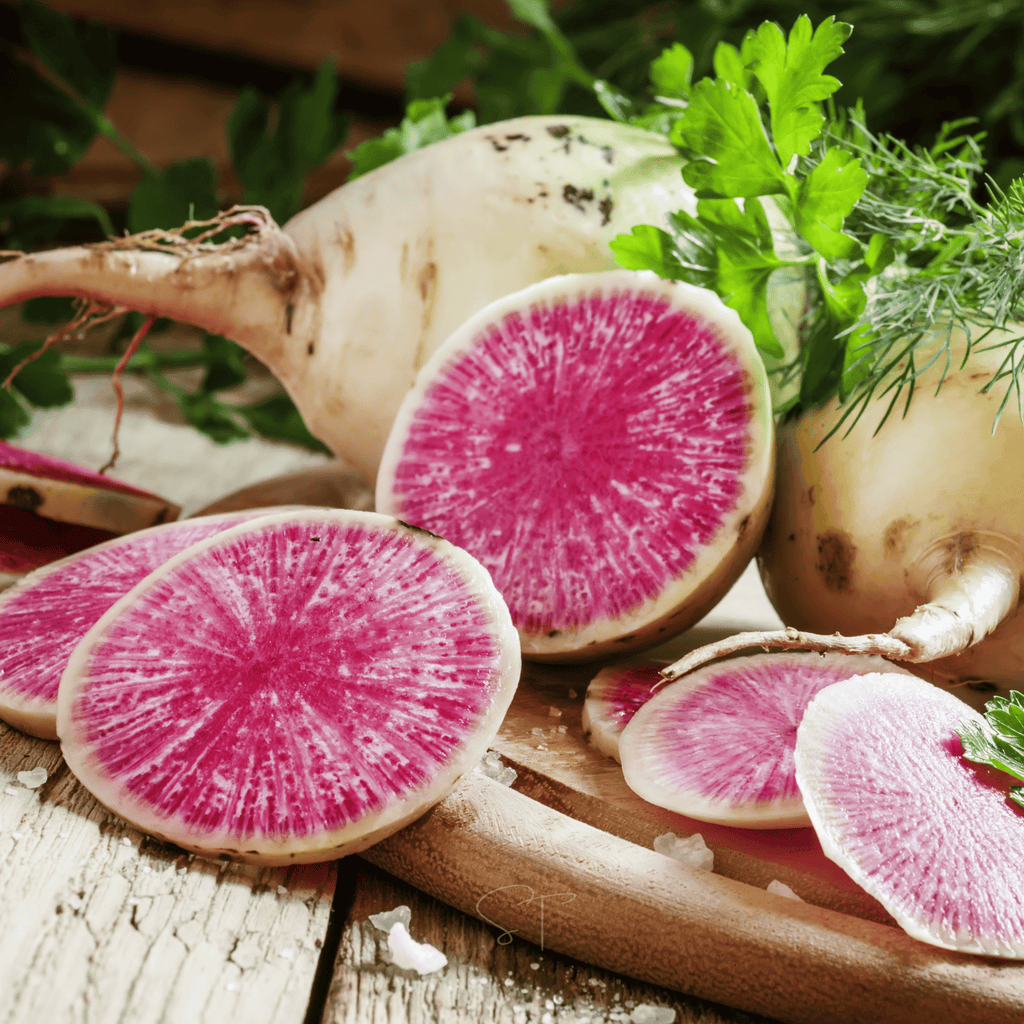 Watermelon Radish – 50 Seeds Southern Seeds