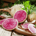 Watermelon Radish – 50 Seeds Southern Seeds