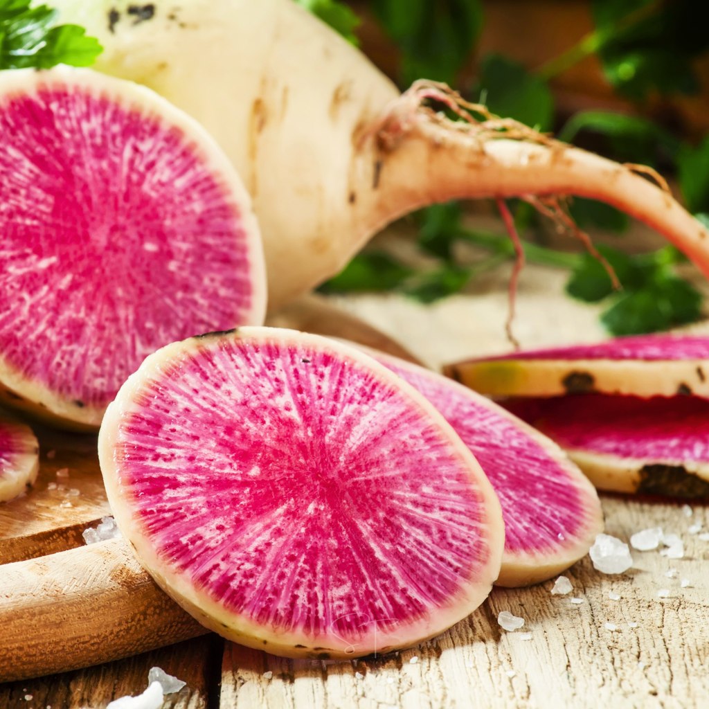 Watermelon Radish – 50 Seeds Southern Seeds