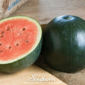 Sugar Baby Watermelon – 25 Seeds Southern Seeds