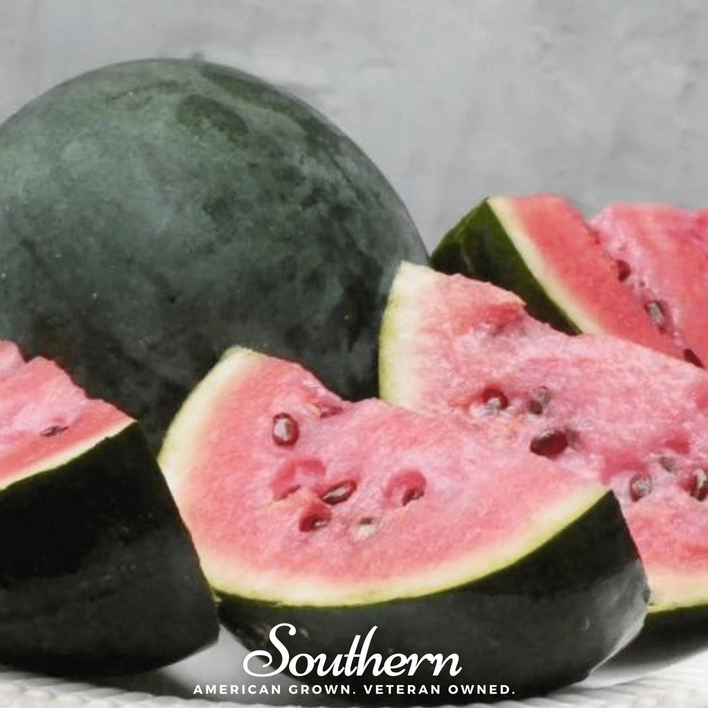 Sugar Baby Watermelon – 25 Seeds Southern Seeds