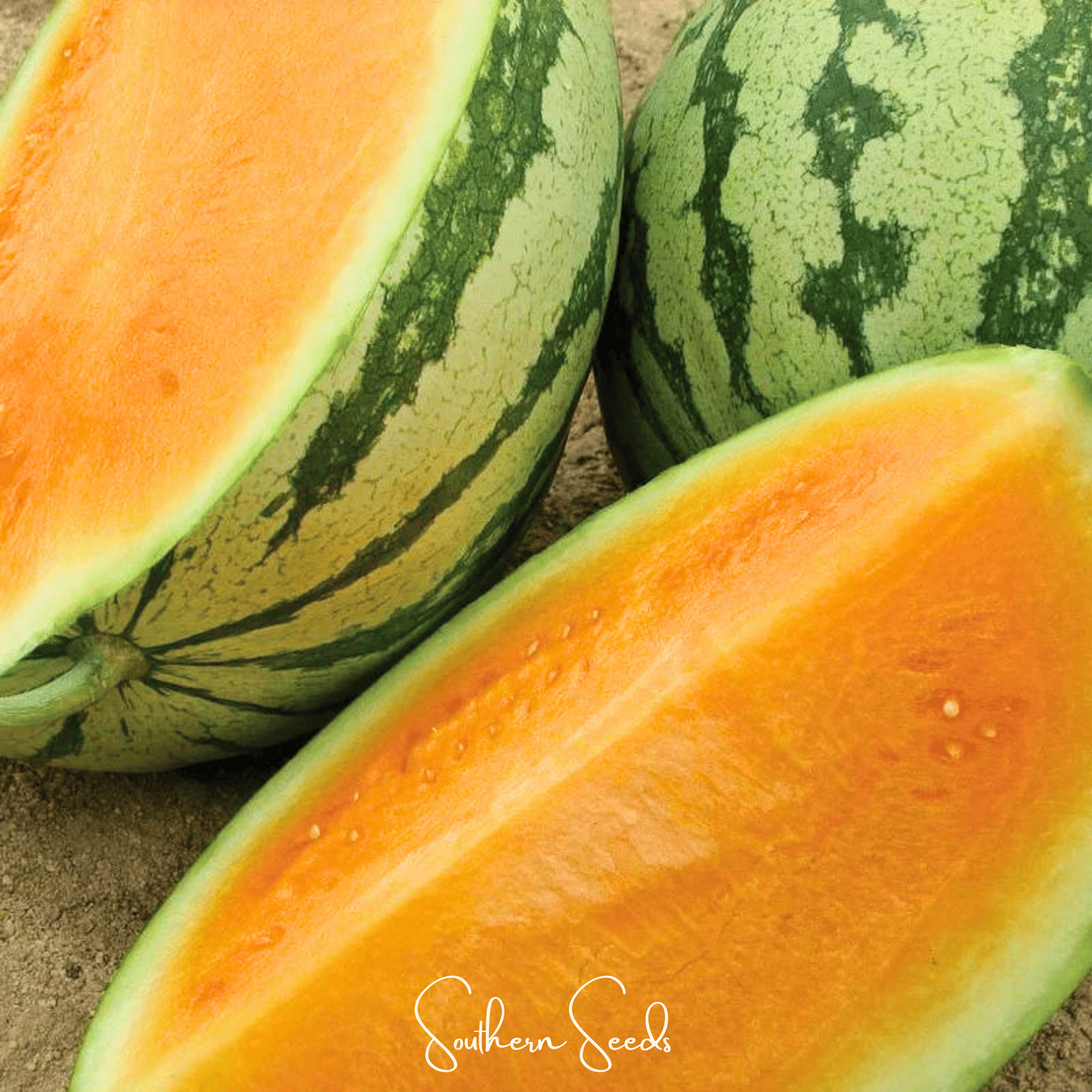 Tendersweet Orange Watermelon – 25 Seeds Southern Seeds