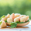 White Soul Strawberry – 100 Seeds Southern Seeds