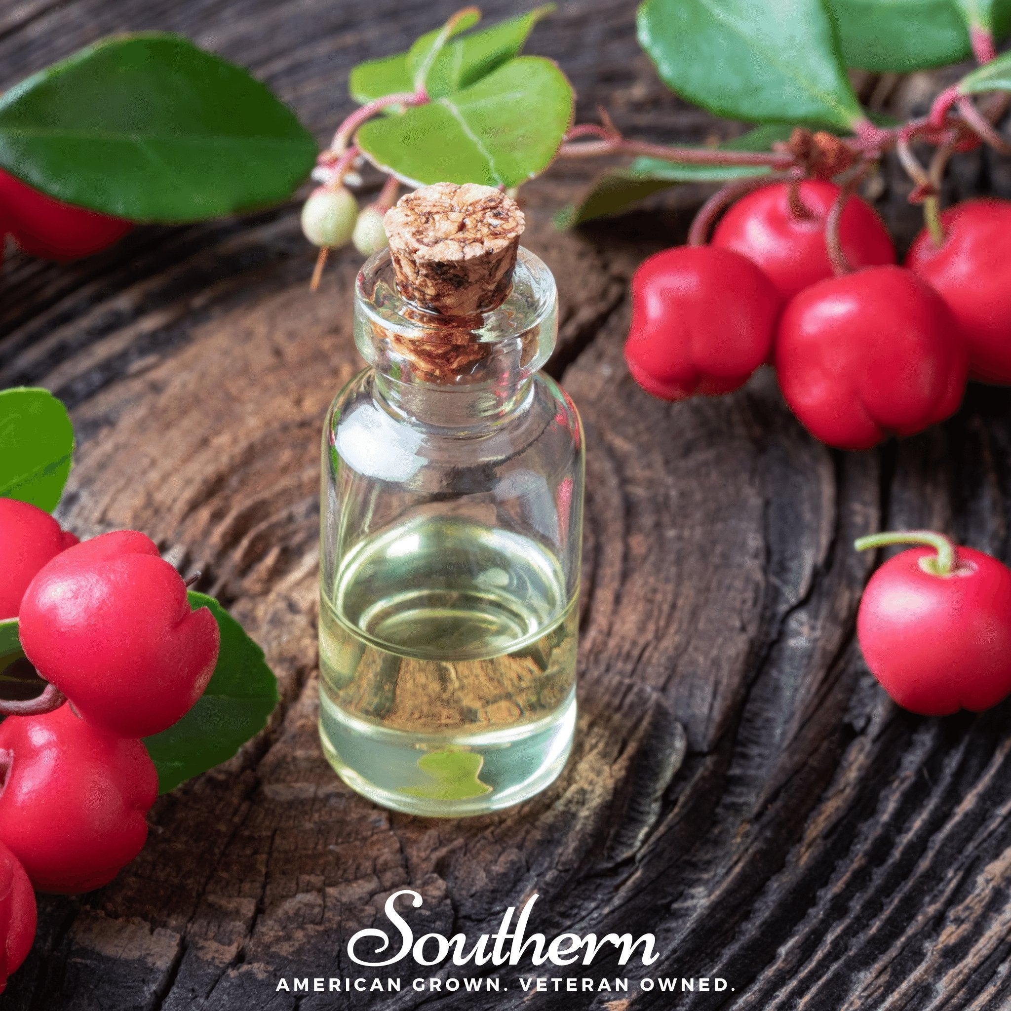 Wintergreen (Teaberry) – 20 Seeds Southern Seeds