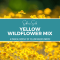 Yellow Wildflower Seed Mix – 1,000 Seeds Southern Seeds